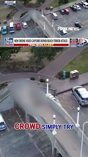NEW: Drone footage shows Bondi Beach terror attack #foxnews #news #us #fox