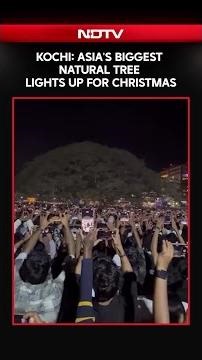 Christmas 2025 | Kochi: Asia's Biggest Natural Tree Lights Up For Christmas