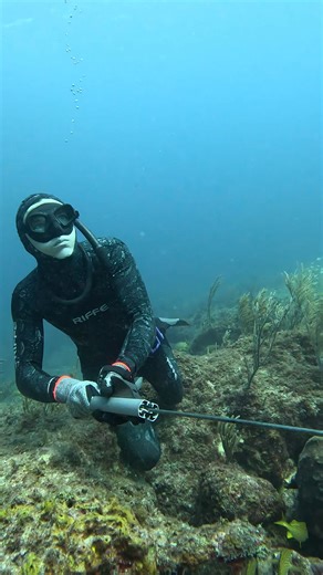 The Bahamas Has The World's Best Spearfishing! | Ryan Myers Spearfishing