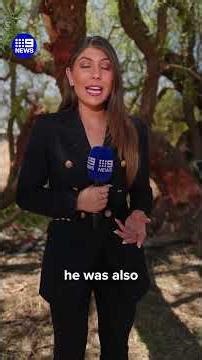 Four killed in regional minivan crash | 9 News Australia