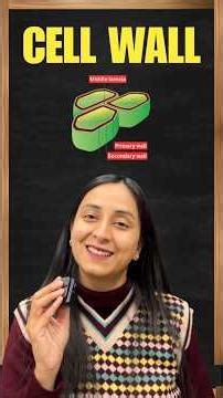 Cell Wall: Structure & Functions #shorts #ytshorts #biology #neet #class11 #study #exam #youtube
