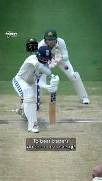 Nathan Lyon passes Glenn McGrath in Test wickets #Ashes