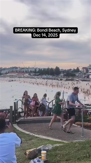 Tragic Incident at Bondi Beach During Hanukkah Celebration