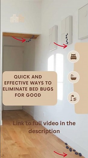 Fastest Way to Kill Bed Bugs | Quick Bed Bug Removal Guide