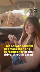 1M views · 4.4K reactions | A young woman got a little too close for comfort with an ostrich at a safari park in Como, Mississippi—leading to this hilarious footage. ‘I never expected to be scared of an ostrich, as I grew up around farm animals and have always had an affinity for goats,’ said Chloe, a student at the Univ. of Mississippi, via Newsflare. ‘After I gained composure, I laughed the hardest I probably ever had in my life.’ | NowThis | Facebook