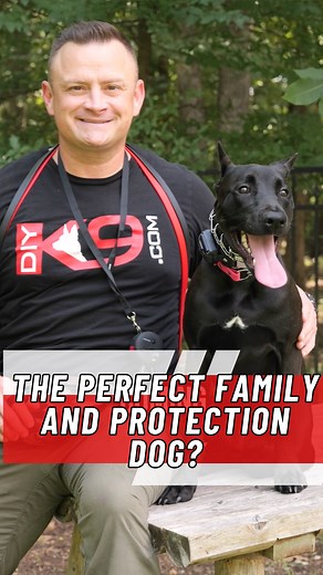 67K views · 1.1K reactions | Is the Canis Panther the right dog for...