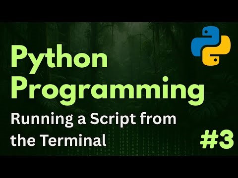 Running a Script in the Terminal | Python Programming Ep. 3