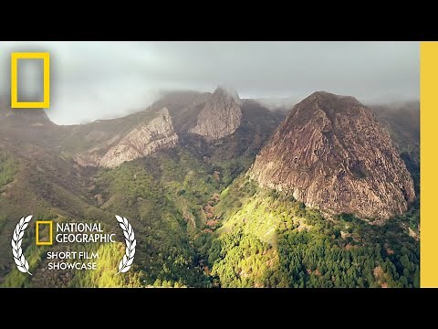 Ecotone | Short Film Showcase | National Geographic