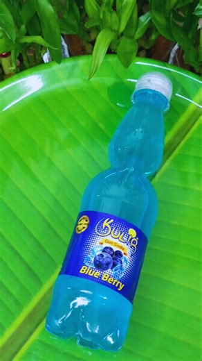 Blueberry Popsicle Hack That's Actually Worth Making #recipe #lifehack #shorts