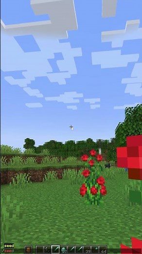 How To Find Your Seed in Minecraft Java Edition