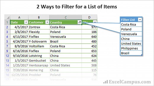 2 Ways to Filter for List of Items in Excel   Video Tutorial - Excel Campus