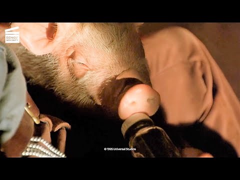 Babe: Duchess The Cat (HD CLIP)