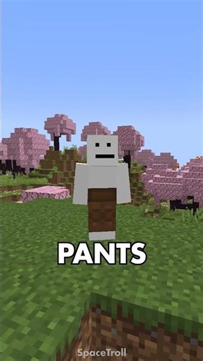 This Mod Adds Pockets?