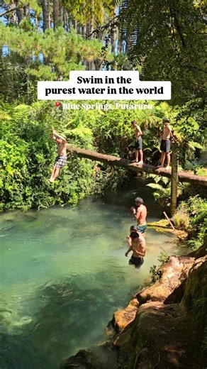 69K views · 6.1K reactions | Have you visited the newly re-opened...