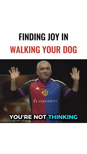 Walking your dog isn’t just exercise; it’s a moment to connect, breathe, and live in the present. 🐶✨ In this video, I share how finding joy during the walk helps both you and your dog stay calm, balanced, and mindful. When you walk with presence, your dog follows your energy. Watch more videos like this on my YouTube channel. Caminar con tu perro no es solo ejercicio; es un momento para conectar, respirar y vivir en el presente. 🐶✨ En este video comparto cómo encontrar alegría durante la camin