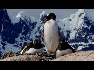 Exploring Antarctica