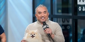 Cesar Millan Reveals How to Actually Stop Your Dog From Barking — Best Life