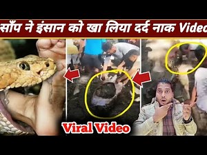 असगर सांप ने इंसान को खा लिया दर्दनाक VIDEO VIRAL 😱 Python Snake Eat Human Viral video