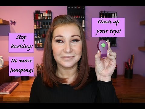 Clicker Training - What is it? How do you use it? (E.G. Stop Barking)