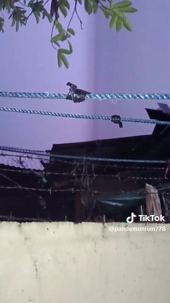 Incredible Lightning Strikes Captured on Video