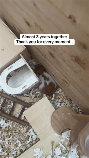 I know this gonna happend…💔