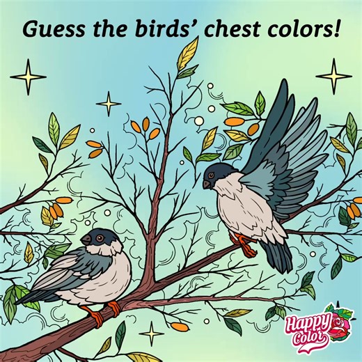 50K views · 1.4K reactions | Ready for a vibrant guessing game? We've swapped the chest colors of these birds  Can you guess their true hues? Drop your answer in the comments below!  To unveil the truth, grab this bonus coloring page  https://happycolorapp.com/link/1Zy1 | Happy Color - Color by Number | Facebook
