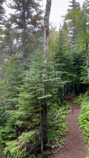 istockphoto 1429674066 640 adpp is