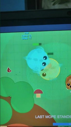 Mel vs Renomance (Mope.io)