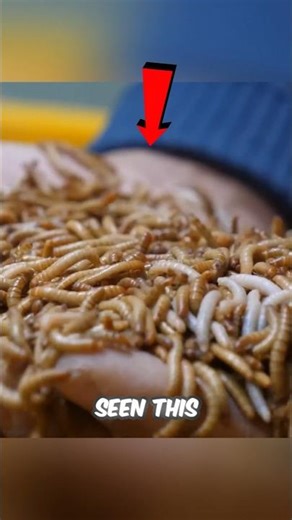 Gym Protein Dark Truth 🤮