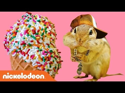 ALVINNN!!! And the Chipmunks!!! | The Chipmunks IRL Music Video | Nick