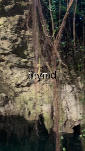 Understanding IHYNLD: Meaning and Usage