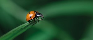 Contact - Andermatt Group AG