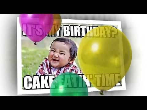 Funny Happy Birthday Memes 🎉 Hilarious Birthday Videos with Famous People, Cats, Dogs & More!