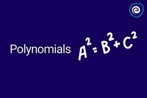 Polynomials: Definition, Types, Degrees, Examples