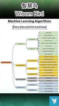 Must-Know Machine Learning Algorithms: A Complete Overview