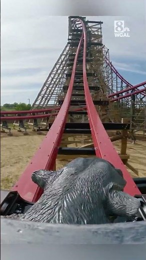 Take a ride on Wildcat’s Revenge at Hersheypark