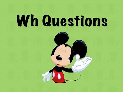 Wh Questions