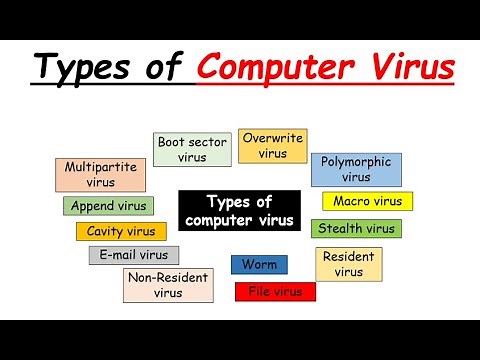 Types of virus
