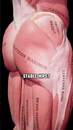 ABSOLUTE BEST Glute Activation Exercise!