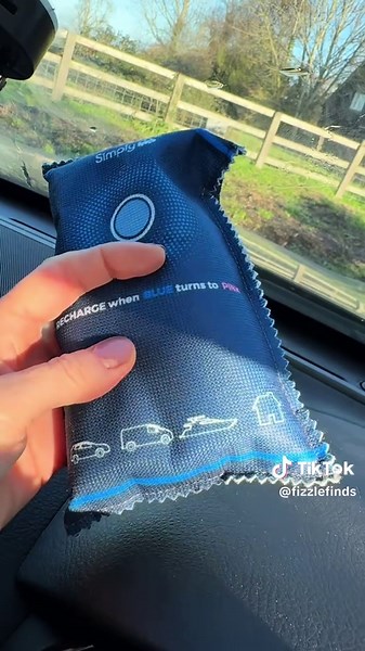 Genius School Run Hack for Your Windscreen