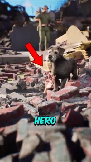 3 Dogs Who Saved Human Lives in Ways You Won’t Believe Last One Called 911!😱