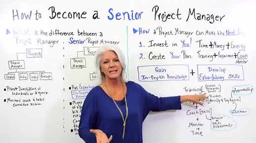 Senior Project Manager Job Description