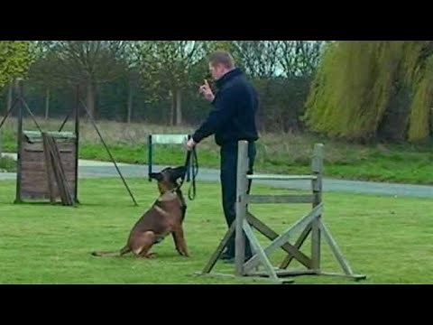 Police dog training