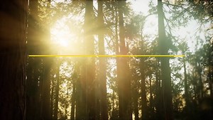 Cinnamon Ball Python Pictures - AZ Animals