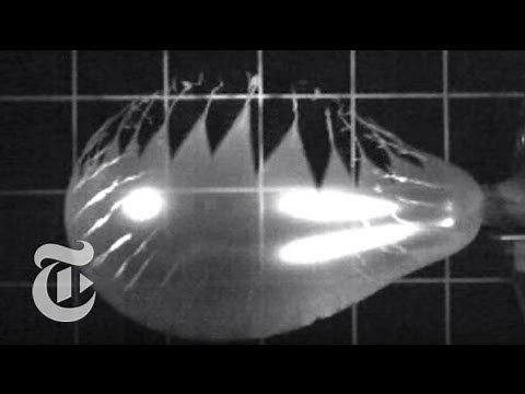 How Balloons Pop | ScienceTake | The New York Times