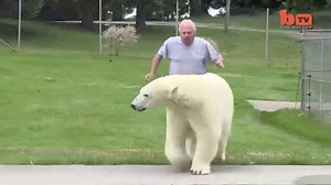 Start Your Day With This Guy Hanging Out With His Pet Polar Bear