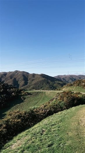 📣 Another perspective of the new Skyline X Crows Nest trail area approved 👀 How stunning does this look on a sunny Wellington day?! #wellingtontrails #fortheloveofriding #trailswellington #mtb #newtrails #wellingtonnz | Trails Wellington