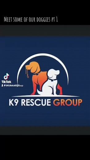 3.9K views · 102 reactions | Meet some of our beautiful dogs  | K9 Rescue Group | Facebook
