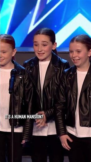 Some solid answers here 🐒 #BGT #BritainsGotTalent
