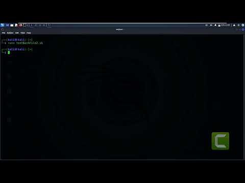 How to create and run a bash shell script in kali linux 2022